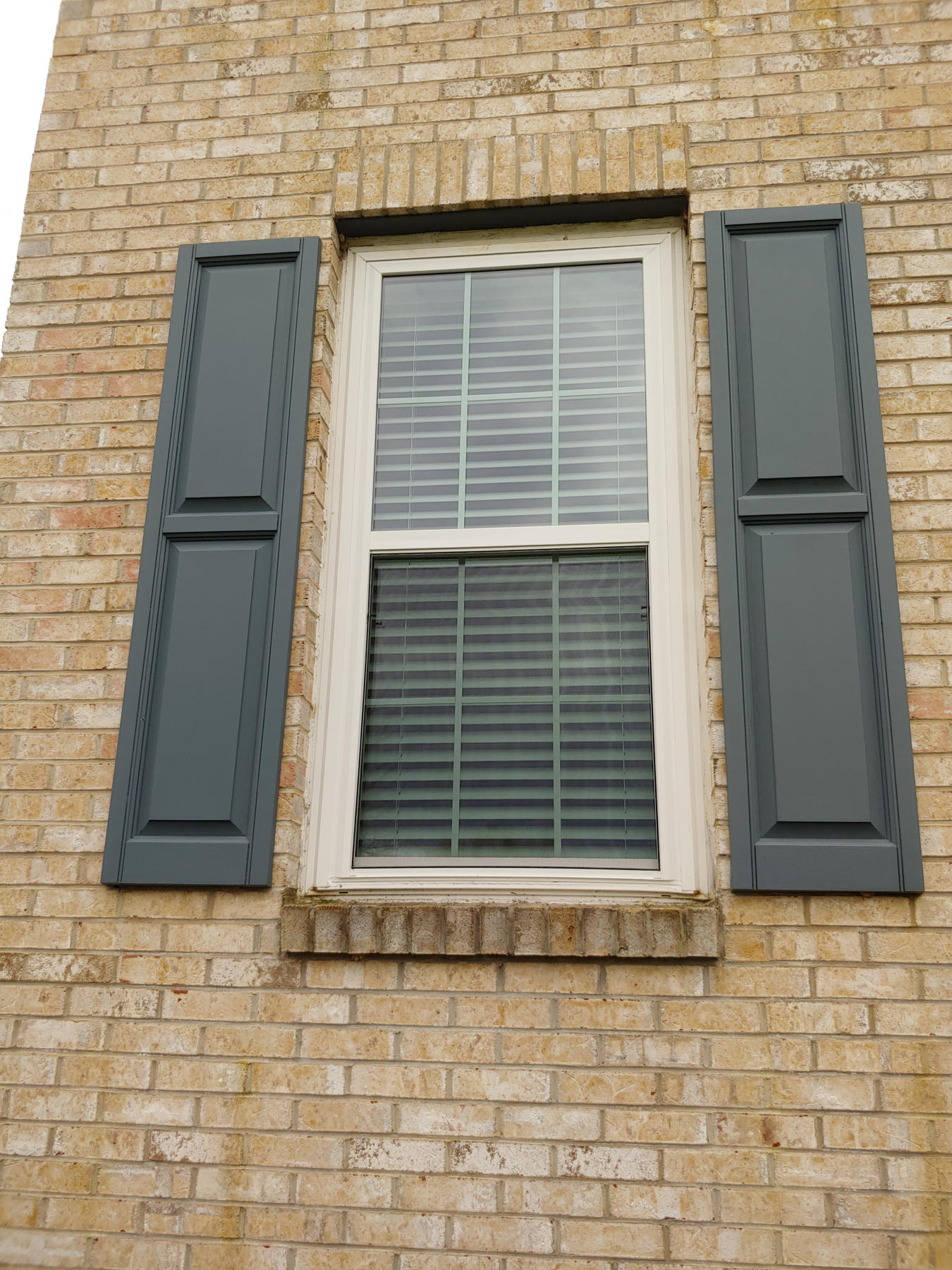 window screen custom for homes